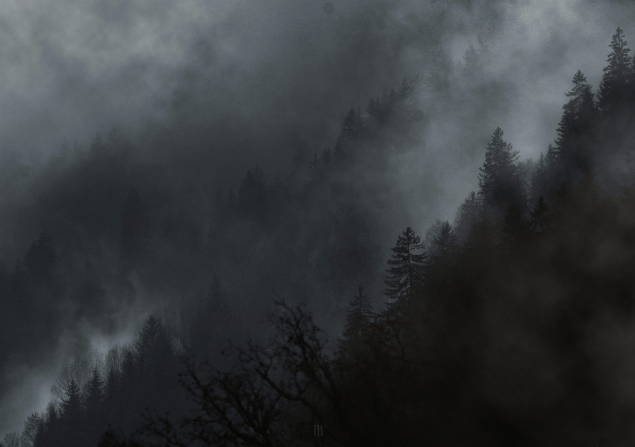 Archillect ID 97112