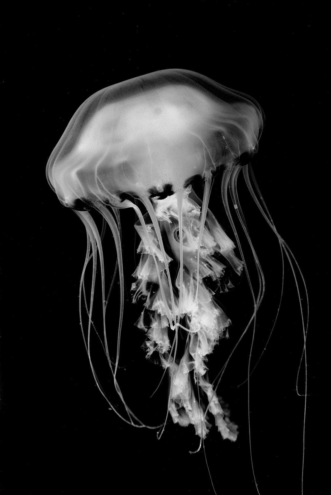 Archillect ID 97407