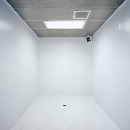 Archillect ID 97536