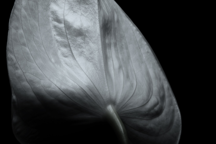 Archillect ID 97630