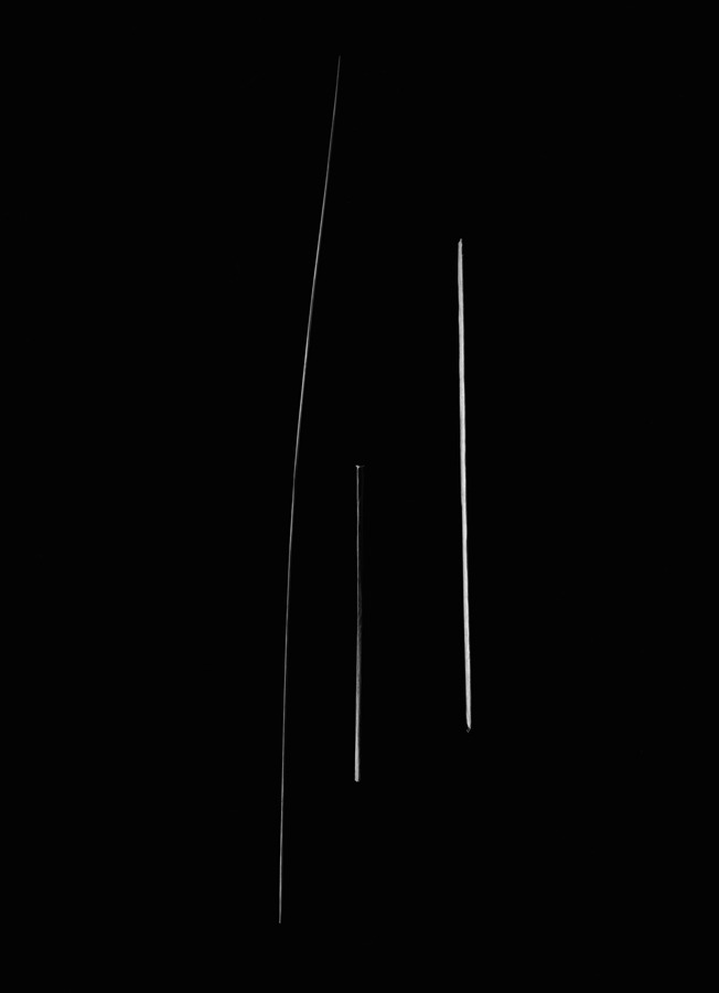 Archillect ID 98016