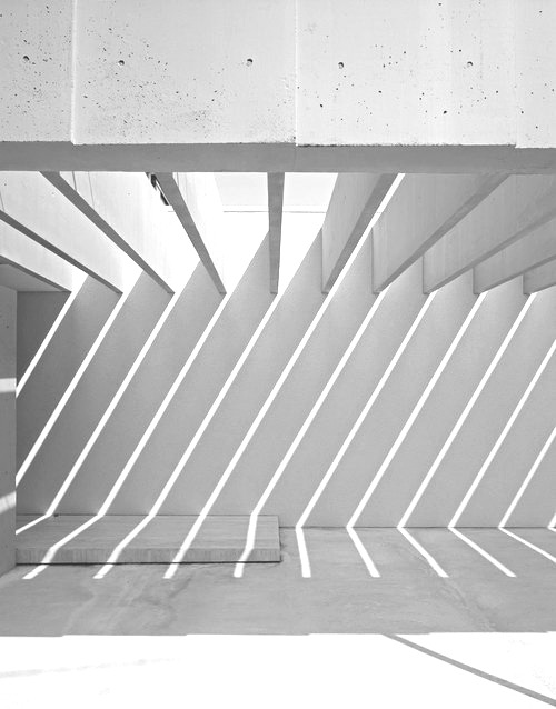 Archillect ID 98122