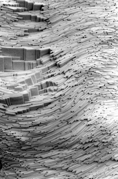 Archillect ID 98194