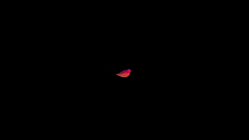 Archillect ID 98229