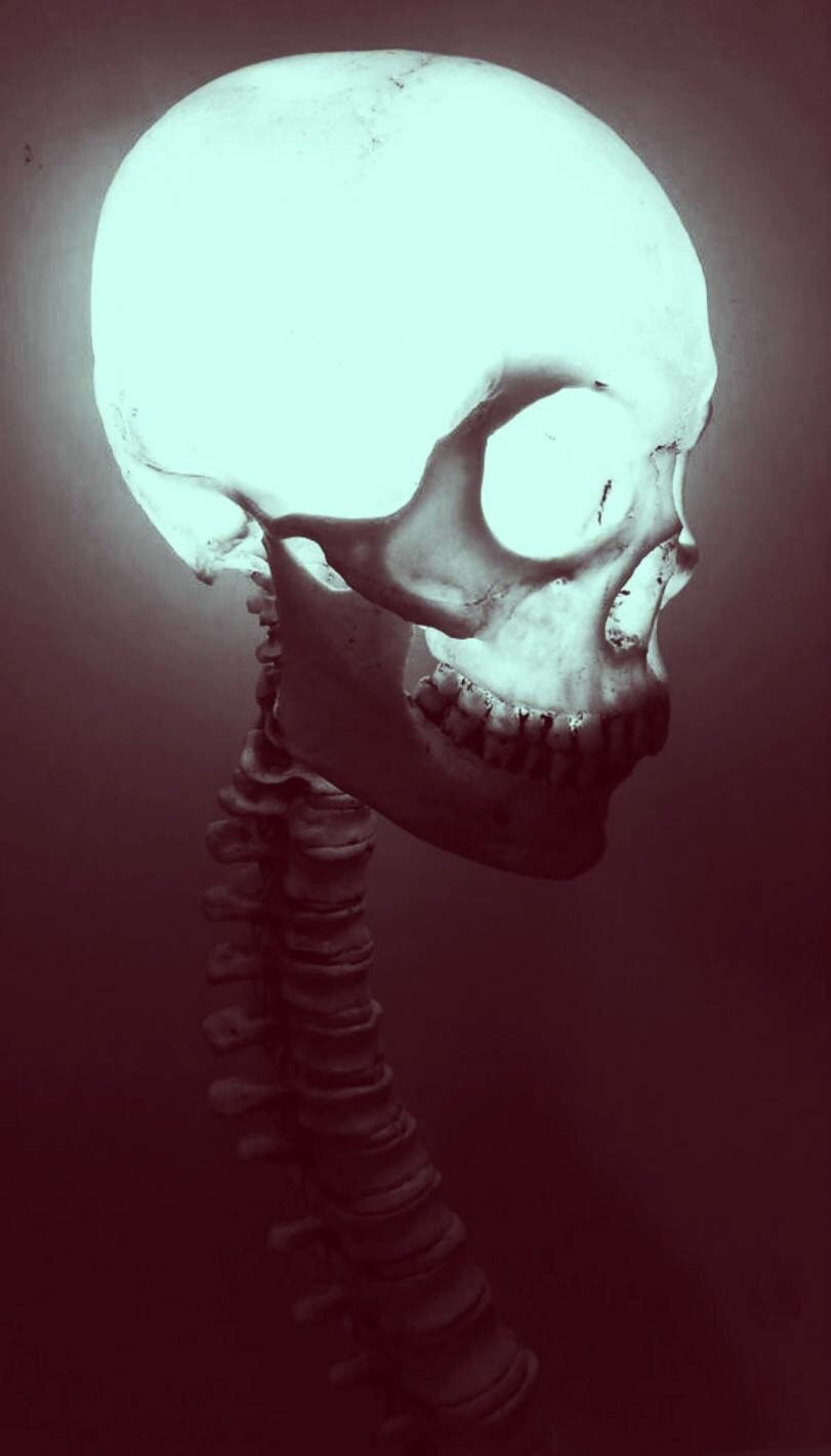 Archillect ID 98342