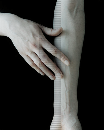 Archillect ID 98424
