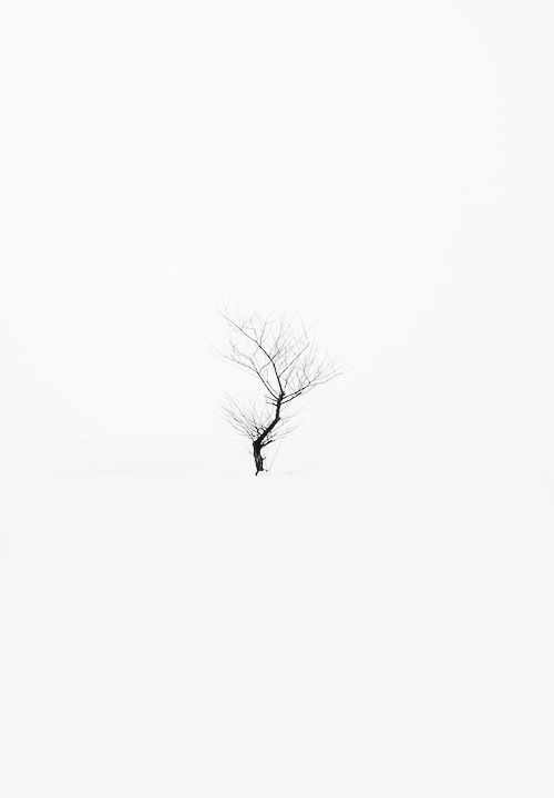 Archillect ID 98524
