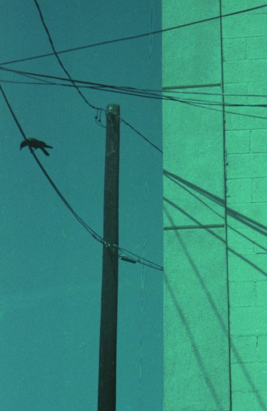 Archillect ID 98544