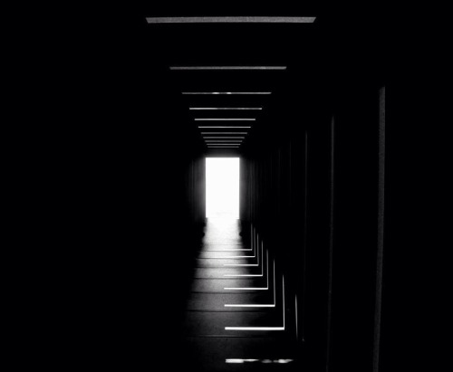 Archillect ID 98723