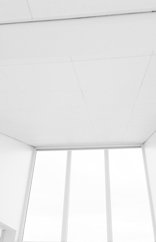 Archillect ID 98765