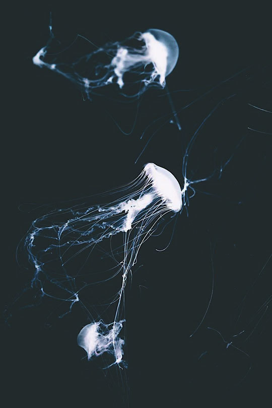 Archillect ID 98786