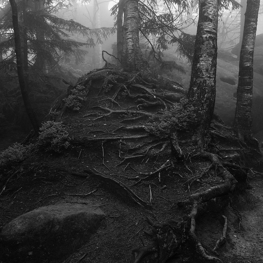Archillect ID 98804