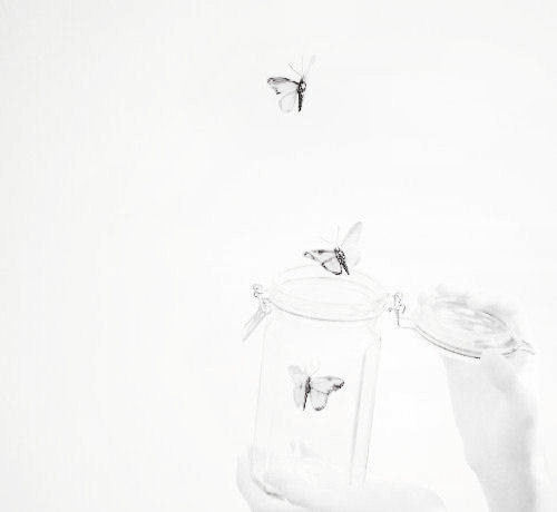 Archillect ID 98814