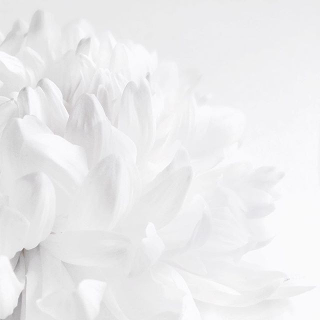 Archillect ID 98885
