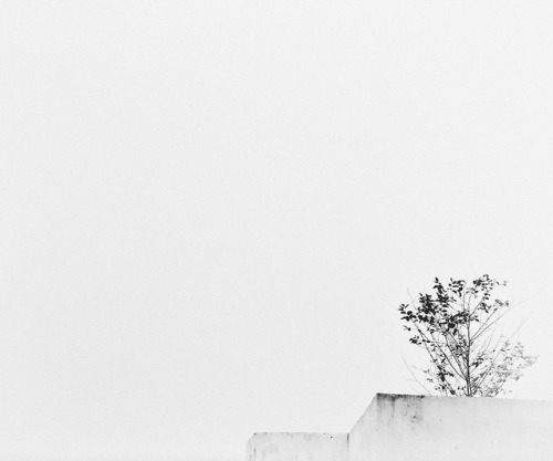 Archillect ID 98938