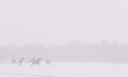 Archillect ID 99071
