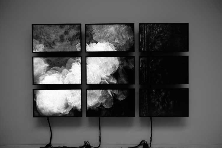 Archillect ID 99239