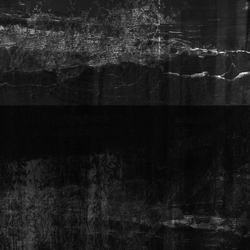 Archillect ID 99243