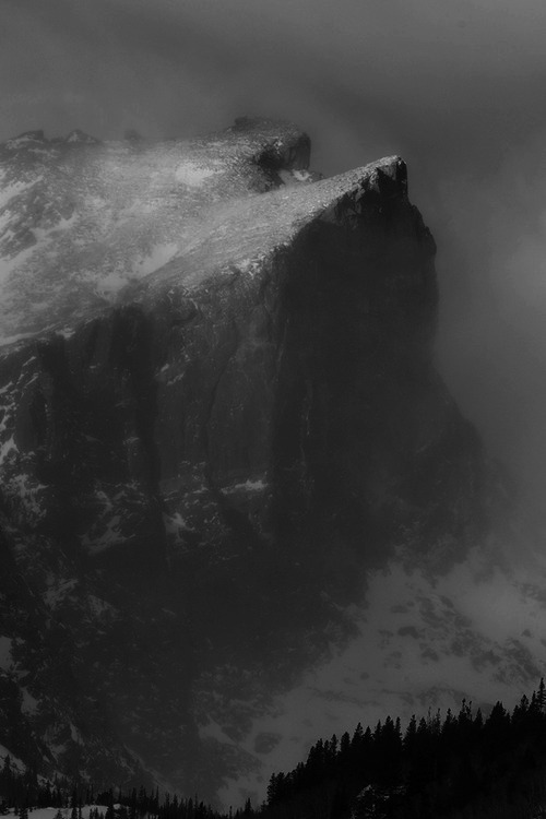 Archillect ID 99311