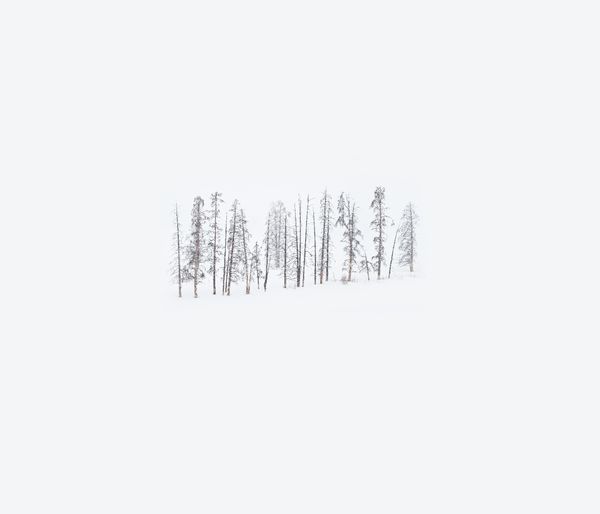 Archillect ID 99442