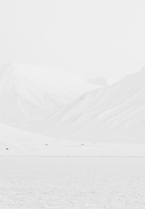 Archillect ID 99669