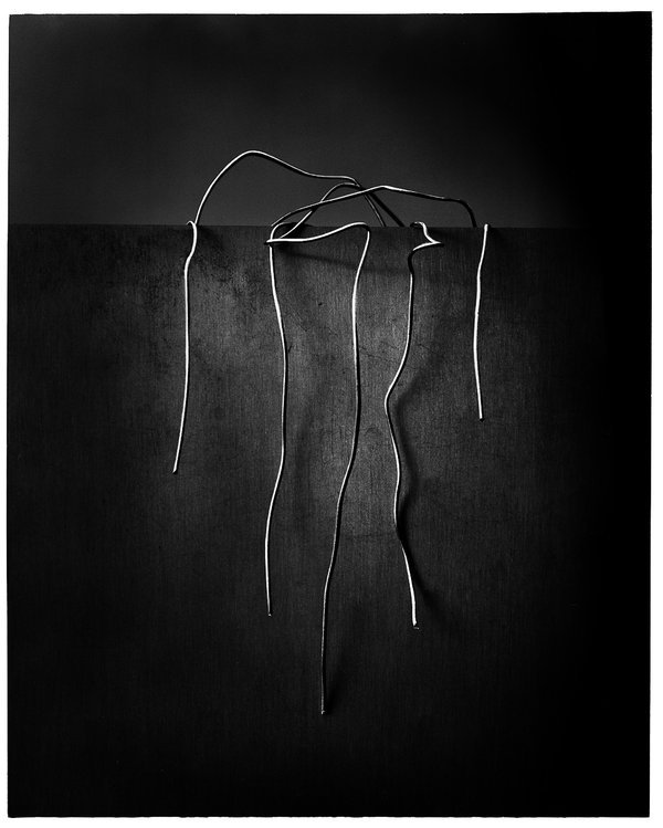 Archillect ID 99771
