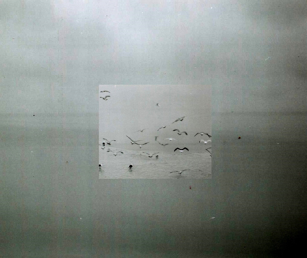 Archillect ID 99791