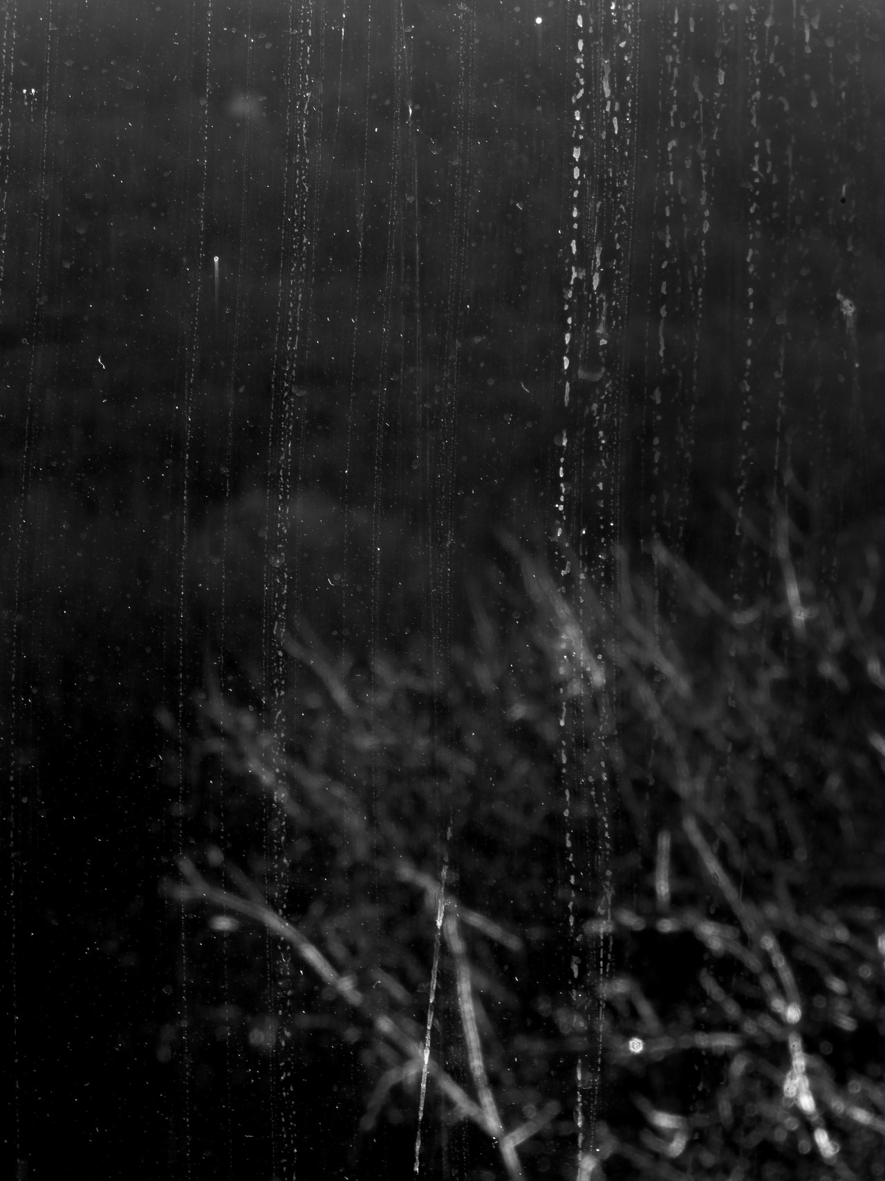 Archillect ID 99840