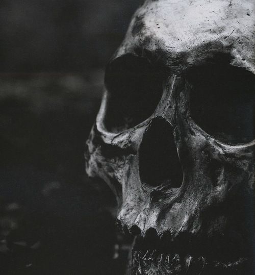 Archillect ID 99914