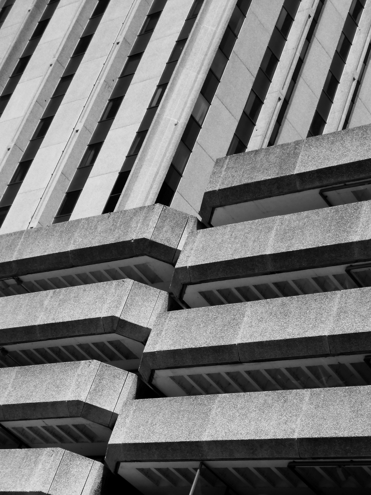 Archillect ID 100030