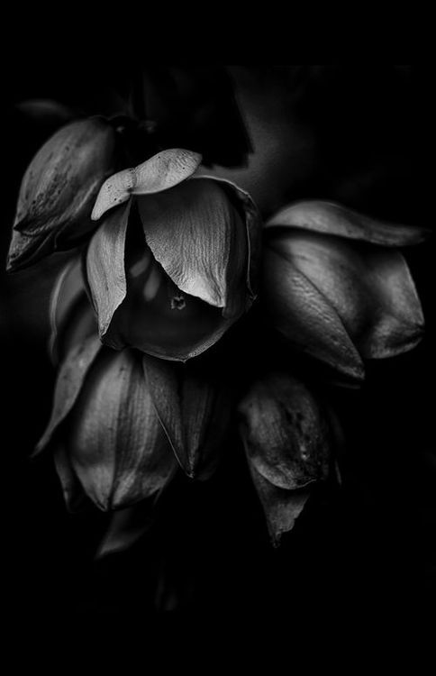 Archillect ID 100108