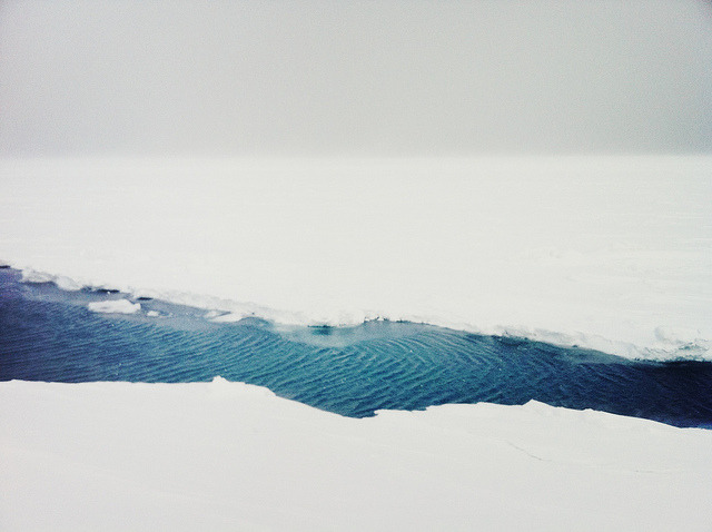 Archillect ID 100215