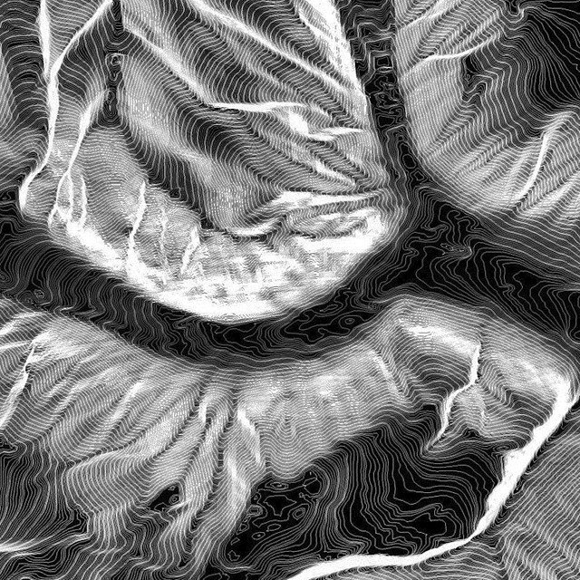 Archillect ID 100293