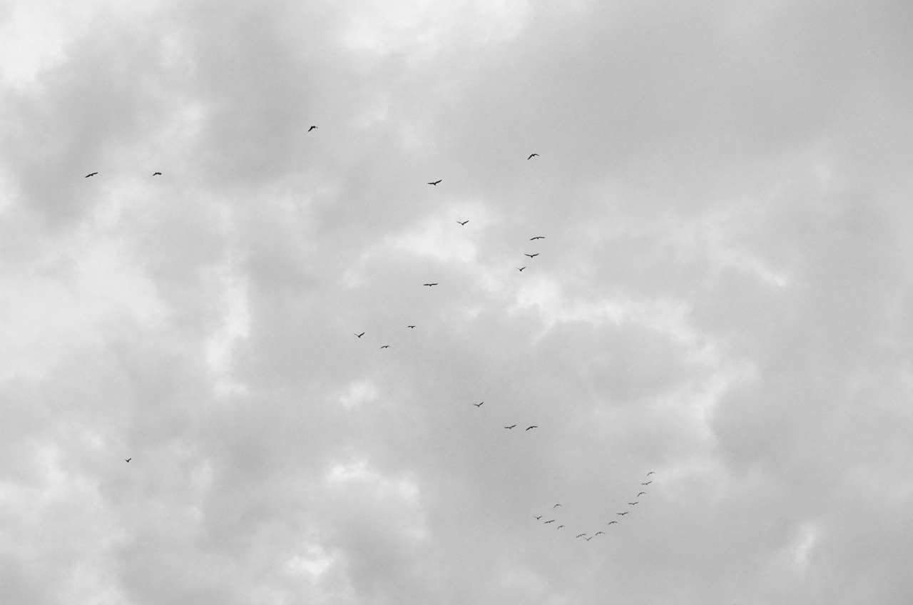 Archillect ID 100516