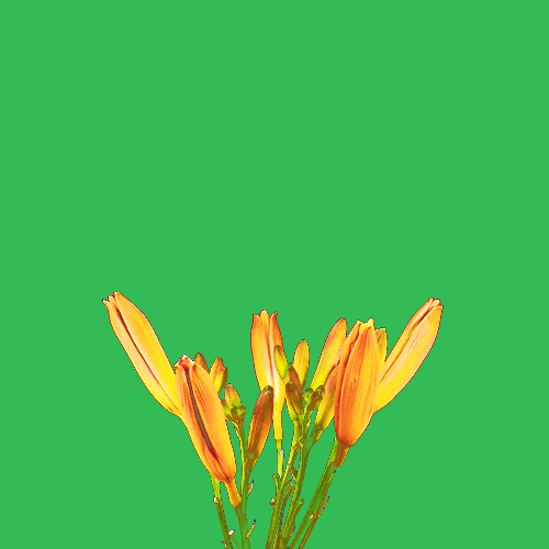 Archillect ID 100665