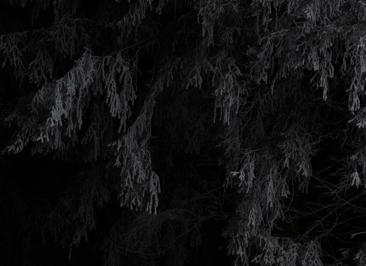 Archillect ID 100674