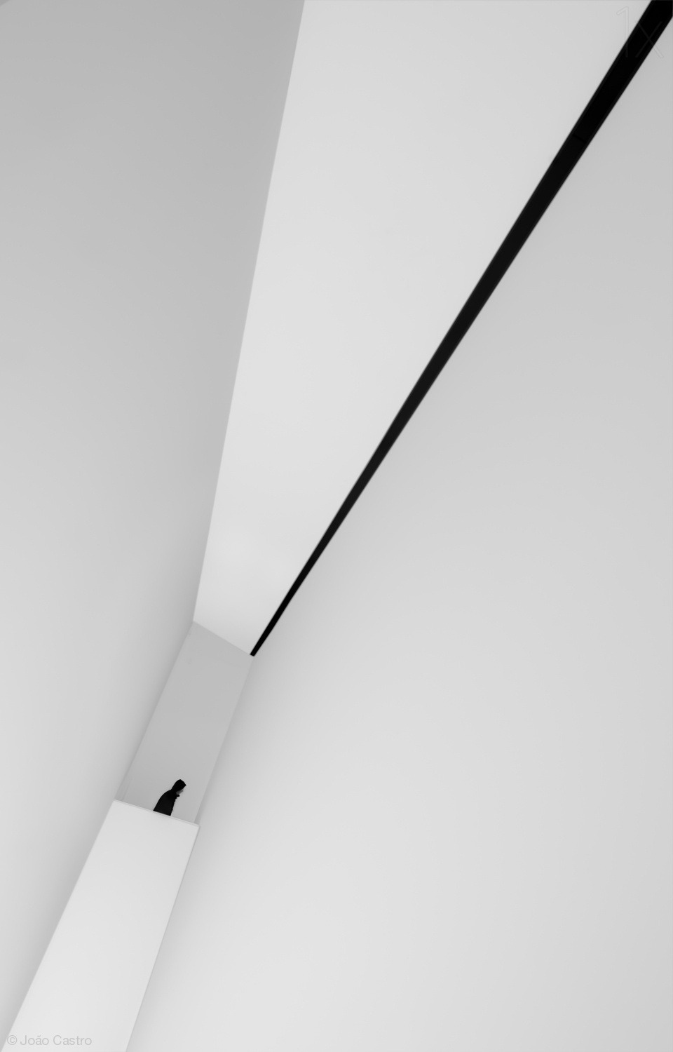 Archillect ID 100678