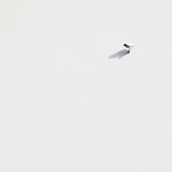 Archillect ID 100831