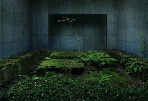 Archillect ID 100894