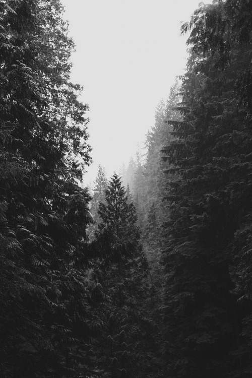 Archillect ID 101159