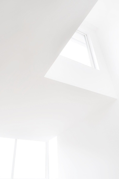 Archillect ID 101242