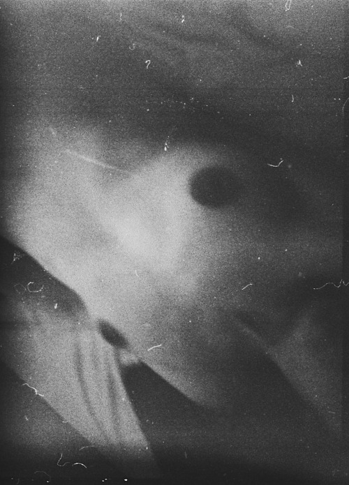 Archillect ID 101567