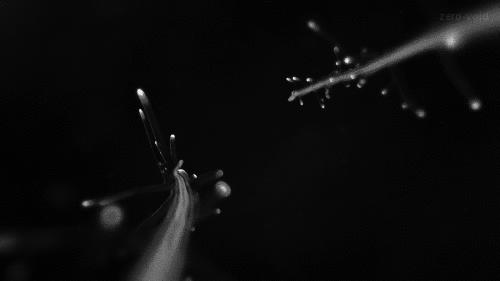 Archillect ID 101712