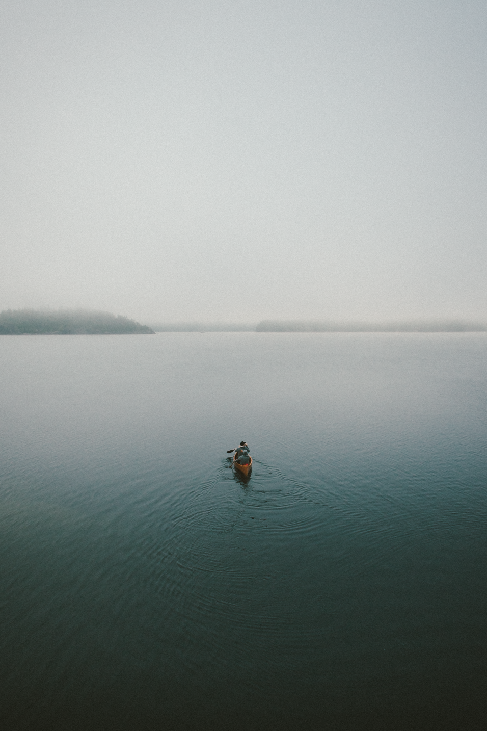 Archillect ID 101990