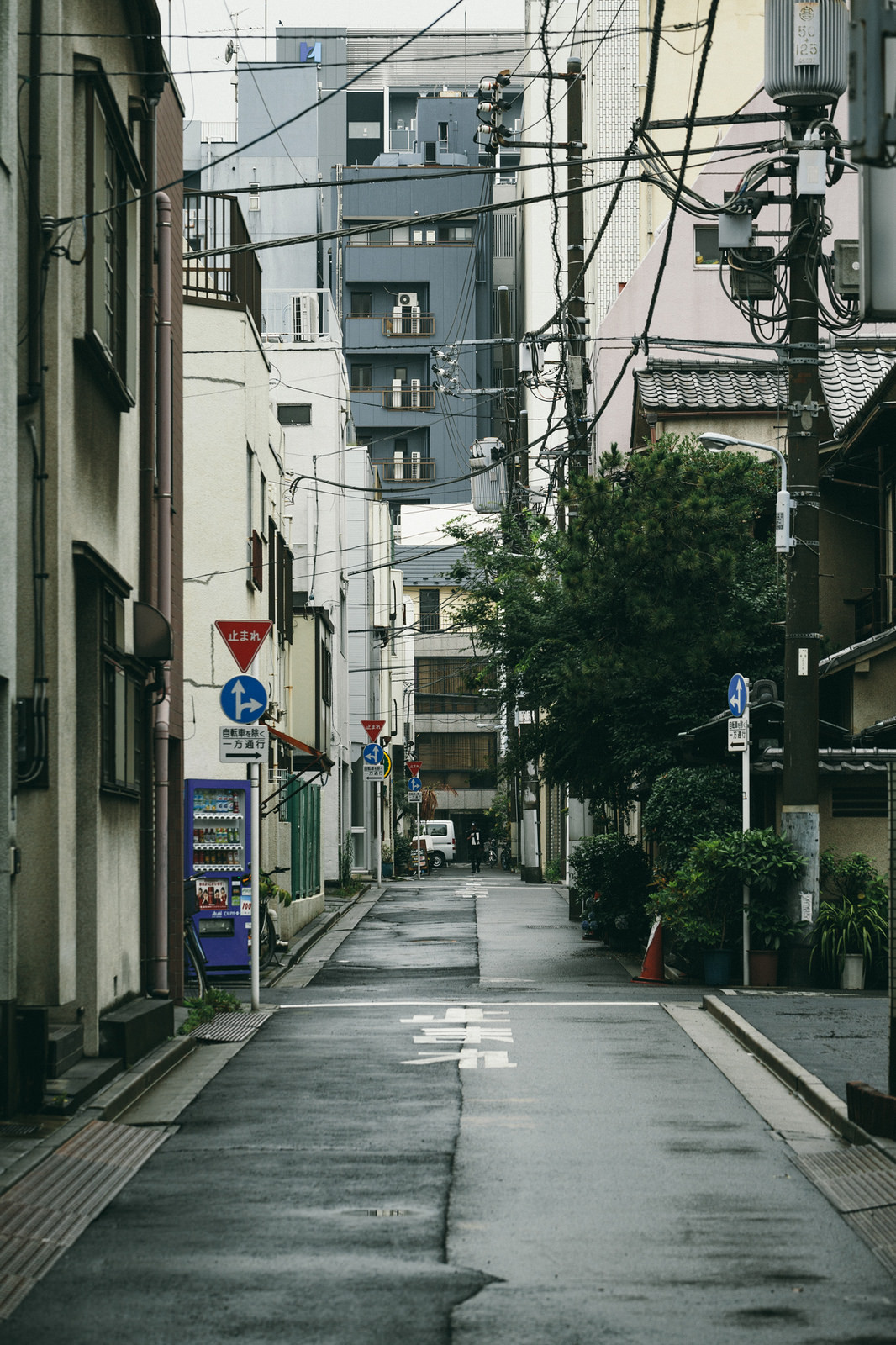 Archillect ID 102029
