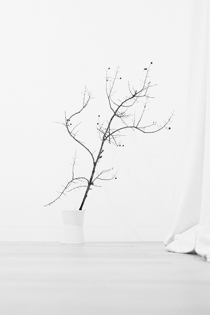 Archillect ID 102174