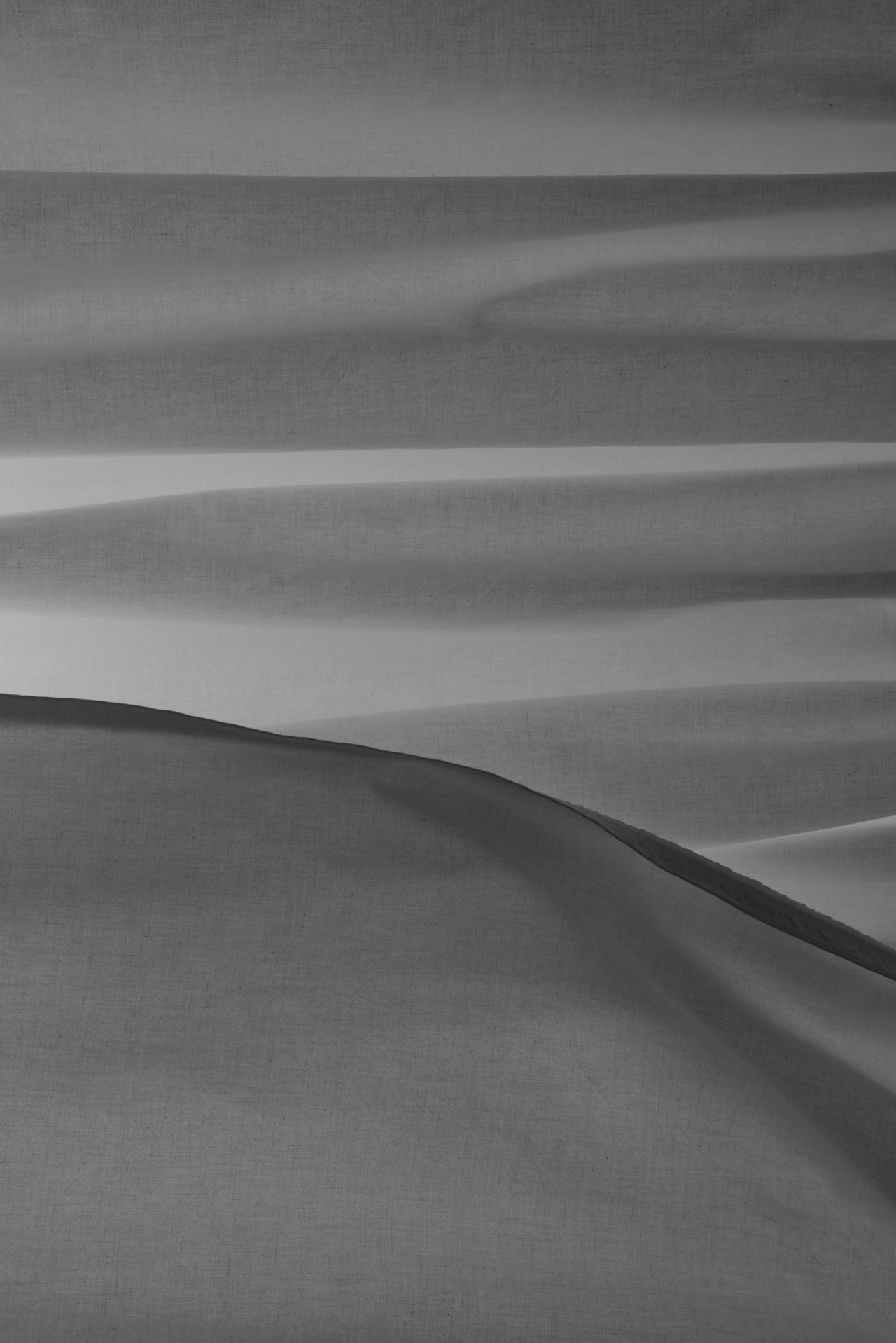 Archillect ID 102238