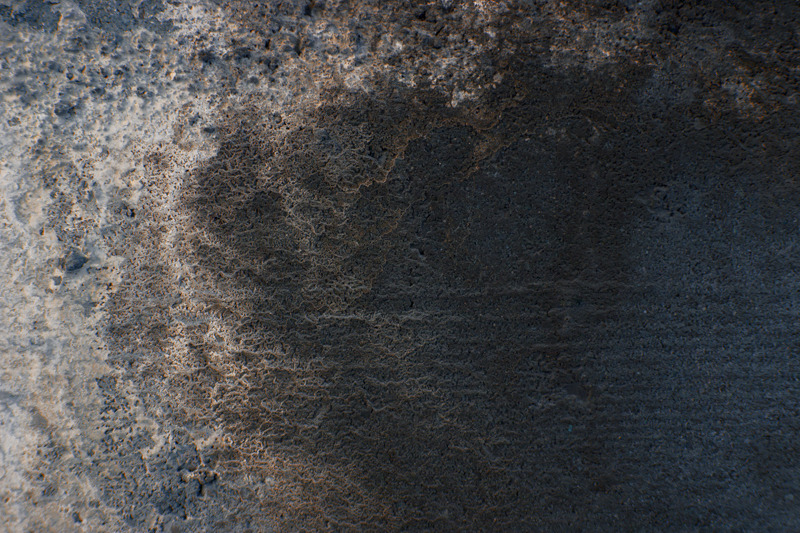 Archillect ID 102339