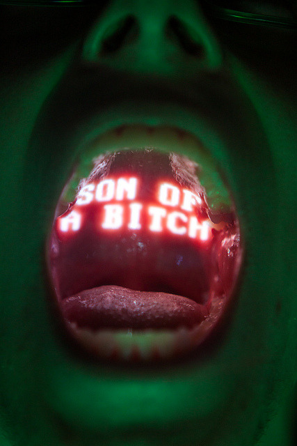 Archillect ID 102361