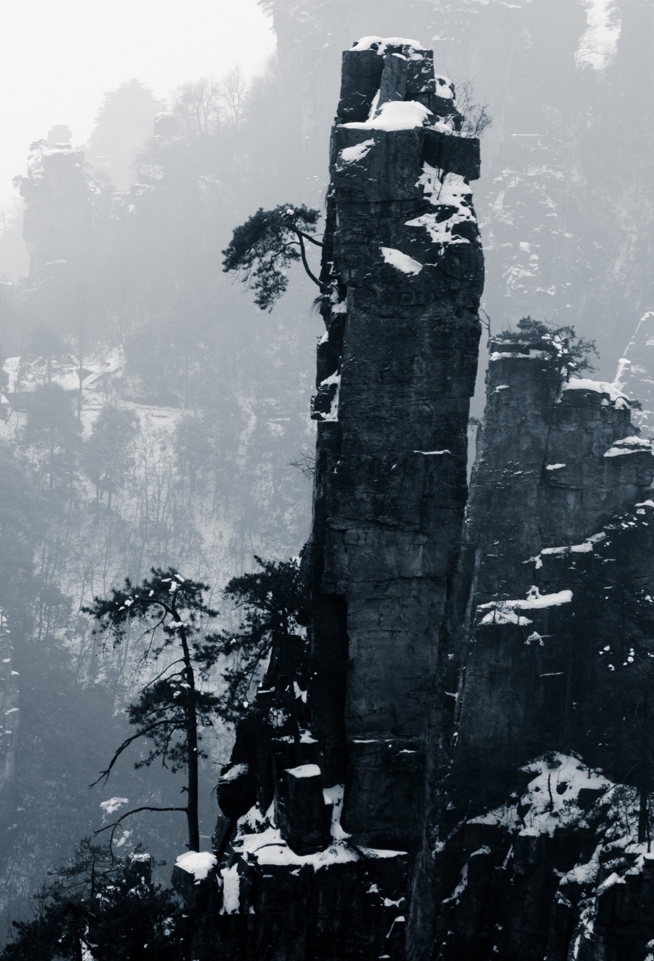Archillect ID 102369